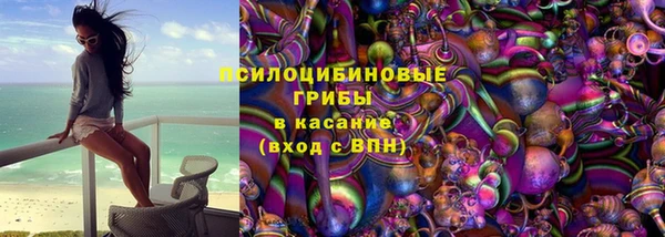 дмт Абаза